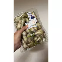 朝比奈 雅