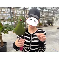 あいら