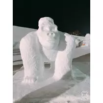宝條 夏恋
