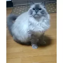 えみり
