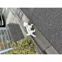 あかね