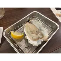月城 ルル