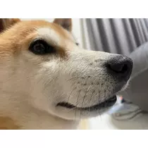 みり