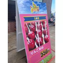 紬 ひい