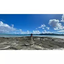 優愛