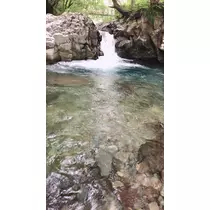 愛羽 仁美