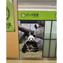 緑 四葉