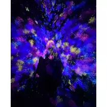 響音 涼