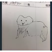 みらい