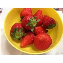 ゆうき