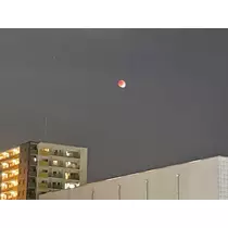 星野 大空