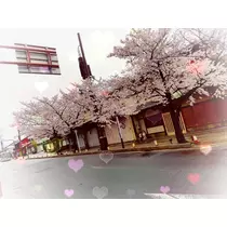 荒木 ナツミ