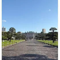 つばき