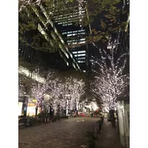 華