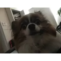 あいら