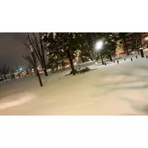 本城 椿