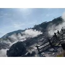 ハル