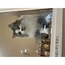 まる