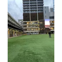 らん