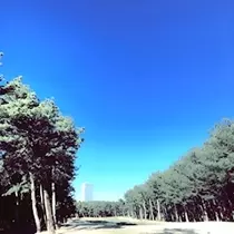 薫