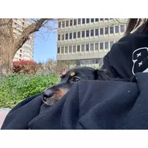 あーだこーだそら