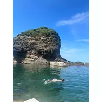愛武 みゆう