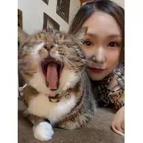 ちさき