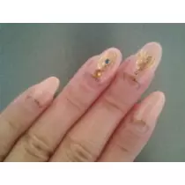 神城 杏花