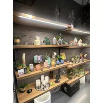 愛武 みゆう