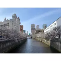 はづき