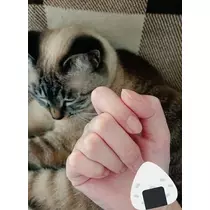 ひな