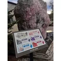 れん
