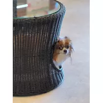 あいら
