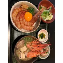 七星 舞冬