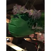 七星 夏純