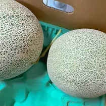 広瀬 あいり