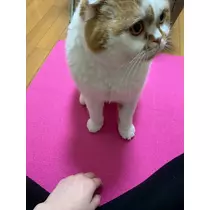 れみ