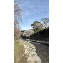 あいみ