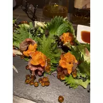 白石 愛莉