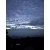 らん