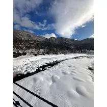 れな