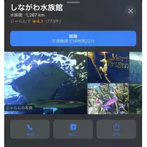 七星 夏純