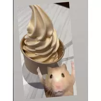 七星 夏純