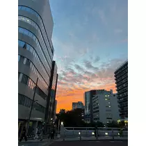 さな