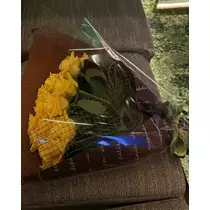 緑 四葉