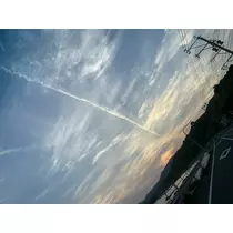 羽蘭