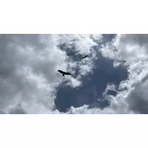 ゆあ