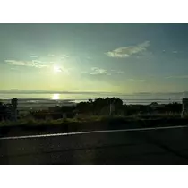 さやか