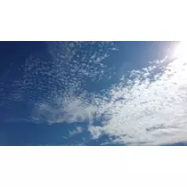 らん