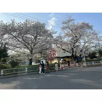 れい